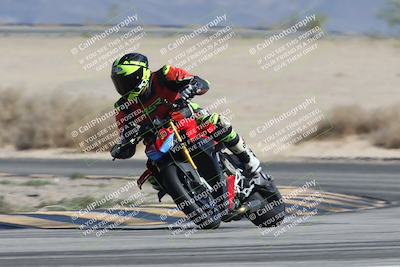 media/Oct-13-2025-Moto Forza (Mon) [[a66d839500]]/3-B Group/Session 4 Turn 4 Tree of Life/